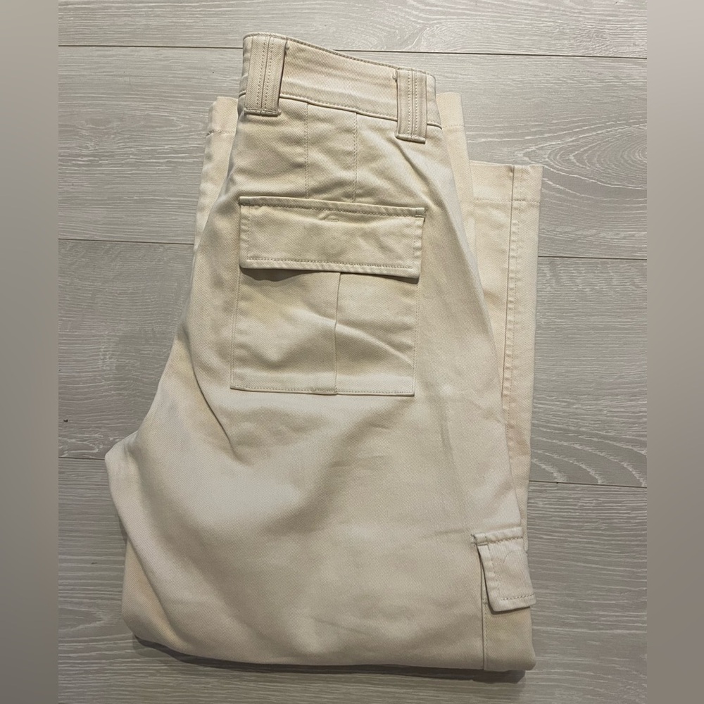 Aritzia cargo pants